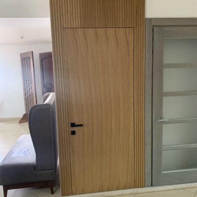 Modern doors with decorative panels